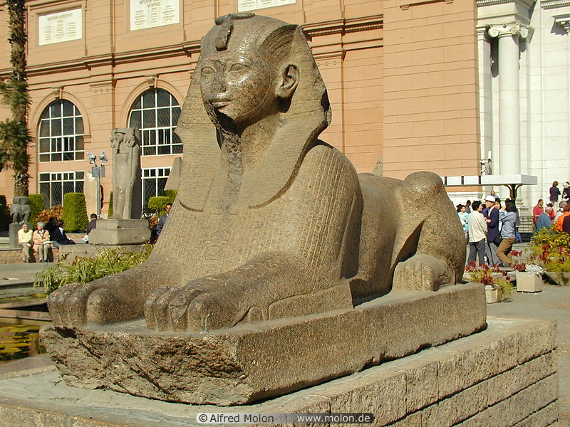Photo of Sphinx statue. Other Images, Egyptian National Museum, Cairo